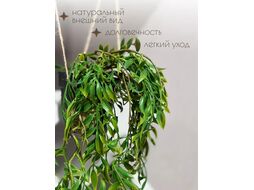 Растение искусственное Art&Home Everleaf 80см DS2013A