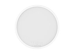 Потолочный светодиодный светильник Xiaomi Smart Ceiling Light D40 (BHR9933GL)