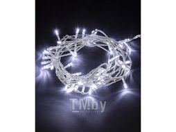 Гирлянда светодиодная СГ100Б10, белая, 10м TDM SQ0361-0039