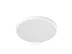 Потолочный светодиодный светильник Xiaomi Smart Ceiling Light D30 (BHR9934GL)