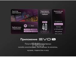 Телевизор EVO evo tv 32 Pink TD0055865RU