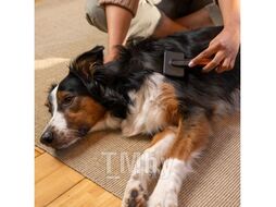 Щетка для шерсти силикон. PET FISKARS 2009140