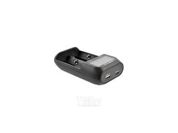 Зарядное устройство MasterCharger 2T4 Pro Robiton БЛ17040