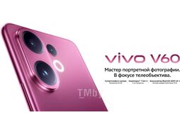 Смартфон Vivo V60 12GB/512GB туманный серый (V2511)