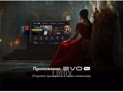 Телевизор evo evo tv 50 Black