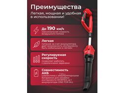 Аккум. воздуходувка BB 2018-1 D ALL1 SOLO (БЕЗ АКБ И ЗУ) WORTEX 1334645