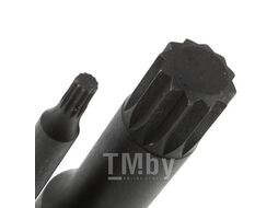 Набор ударных насадок 1/2" 8 пр. TRIPLE/Звездочка M5. M6. M8. M10. M12. M14. M16. M18 мм, L= 78 mm, GARWIN 626630-8-12