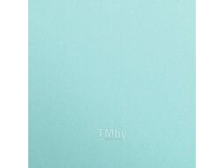 Бумага цветная "Maya", 50х70 см, 120г/м2 Clairefontaine 97167C