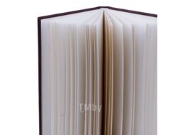 Скетчбук для графики "GrafArt white", 50 листов, А5, 160 г/м2 Малевичъ 401270