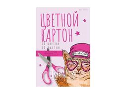 Набор цветного картона А4 10 цв. (10 л) "EASY" в папке Bruno Visconti 11-410-319/01