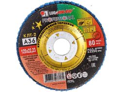 Круг лепестковый 125х22мм А36 конич. КЛТ2 (Луга) (LUGAABRASIV)