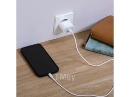 Сетевое зарядное устройство USB-C, 20Вт в комплекте с кабелем USB-C – Lightning REXANT 16-0234-4