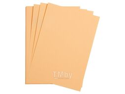 Бумага цветная "Maya", 50х70 см, 120г/м2 Clairefontaine 97162C