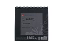 Скетчбук для графики "Сонет", 20х20 см, 30 листов Невская Палитра 50452687