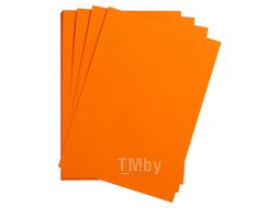 Бумага цветная "Maya", 50х70 см, 120г/м2 Clairefontaine 97166C