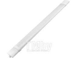 Светильник линейный ETP ДПП-06 36W 6500K / 35984