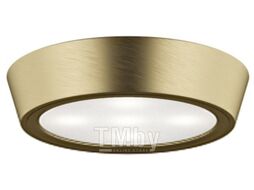 Потолочный светильник Lightstar Urbano 214912