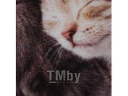 Коврик влаговпитывающий "Samba" 50*80 см. "Милота", котята, VORTEX 24404