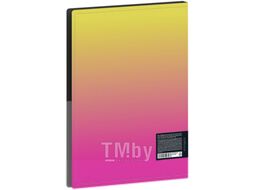 Папка для бумаг Berlingo Radiance / DB4_30001 (желтый/розовый)