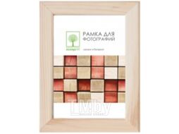 Рамка ПАЛИТРА Д18С 21x30
