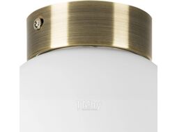 Потолочный светильник Lightstar Globo 812011 (MX8131-1B-S)