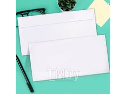 Набор конвертов почтовых Brauberg 112193 (100шт)