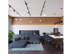 Трековый светильник Novotech 358626