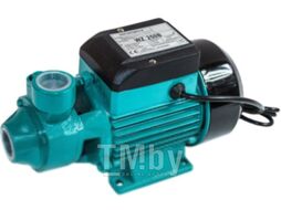 Поверхностный насос GreenPump WZ 250 В