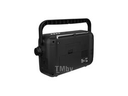 Радиоприемник Ritmix RPR-320