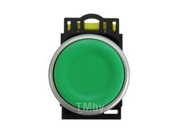 Кнопка управления EB2M-A-10/G без подсветки зеленая 1НО IP65 (R) Wilderness EB20003