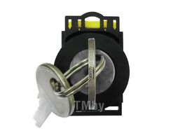 Переключатель с ключом EB2M-A-20CYS/f.fu 3 положения возвратный 2НО IP40 (R) Wilderness EB20019