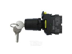 Переключатель с ключом EB2M-A-20CYS/f.fu 3 положения возвратный 2НО IP40 (R) Wilderness EB20019