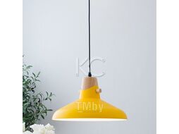 Светильник светодиодный подвесной Астерия MMD-LED A039-4-1xE27, желтый, Home Light A039-4