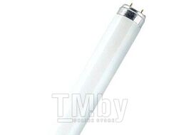 Лампа Osram ЛБ.L 18W/640 G13 4000К