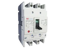 Автоматический выключатель DAM11EY-160M/3300, 3P, 125А, 415VAC, 50кА, Ir=100_125А, Wilderness DAM11-160-3-125-50R