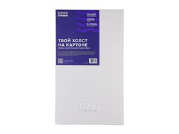 Холст на картоне 30*50 см 100% хлопок, 280 г/м2, акриловый грунт, мелкое зерно Стихия ST06012