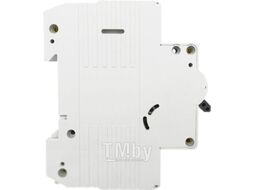Автоматический выключатель DAW2-10 2P 32A х-ка B 10kA (R) Wilderness DAW2-10-2-B032