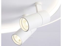 Потолочный светильник Ambrella FL51391/1+2 WH