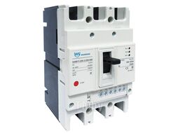 Автоматический выключатель DAM11EY-250M/3300, 3P, 250А, 415VAC, 50кА, Ir=100_250А, Wilderness DAM11-250-3-250-50E