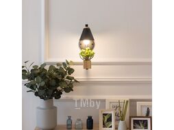 Светильник светодиодный настенный Астерия MMD-LED B149-2-1xE27, черный, Home Light B149-2-B