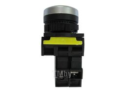 Кнопка управления EB2M-A-10D/Y 1НО желтая с подсветкой LED AC/DC 110-230В IP65 (R) Wilderness EB20012