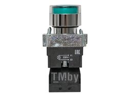 Кнопка BW3361-XB2 зеленая, с подсветкой 230В, металл, 1НО КС 89471