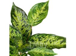 Искусственное растение ForGarden BN10753