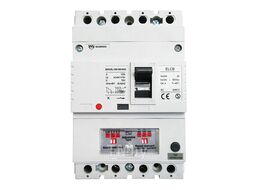 Дифференциальный автомат BX-DAM1N-125L 3P+N C100 рег. ток утечки 30-100-300mA тип AC 25kA (R) Wilderness BXN125L-100C-003-03AC