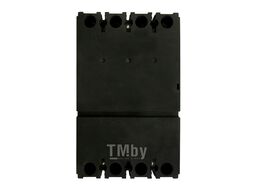 Дифференциальный автомат BX-DAM1N-125L 3P+N C100 рег. ток утечки 30-100-300mA тип AC 25kA (R) Wilderness BXN125L-100C-003-03AC