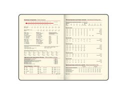 Ежедневник Brauberg Микс яркий / 116238 (160л)