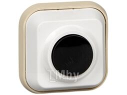 Кнопка звонка Systeme (Schneider) Electric A1-04-011-I