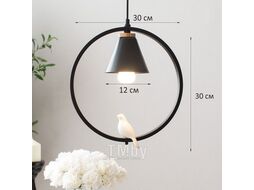 Светильник светодиодный подвесной Астерия MMD-LED A043-5-1xE27, черный, Home Light A043-5-B