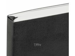 Записная книжка Brauberg Ultra / 113016 (черный)