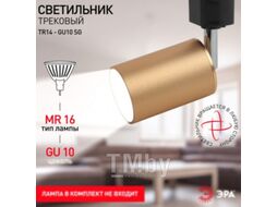 Трековый светильник ЭРА TR14-GU10 SG MR16 / Б0044321 (сатин золото)